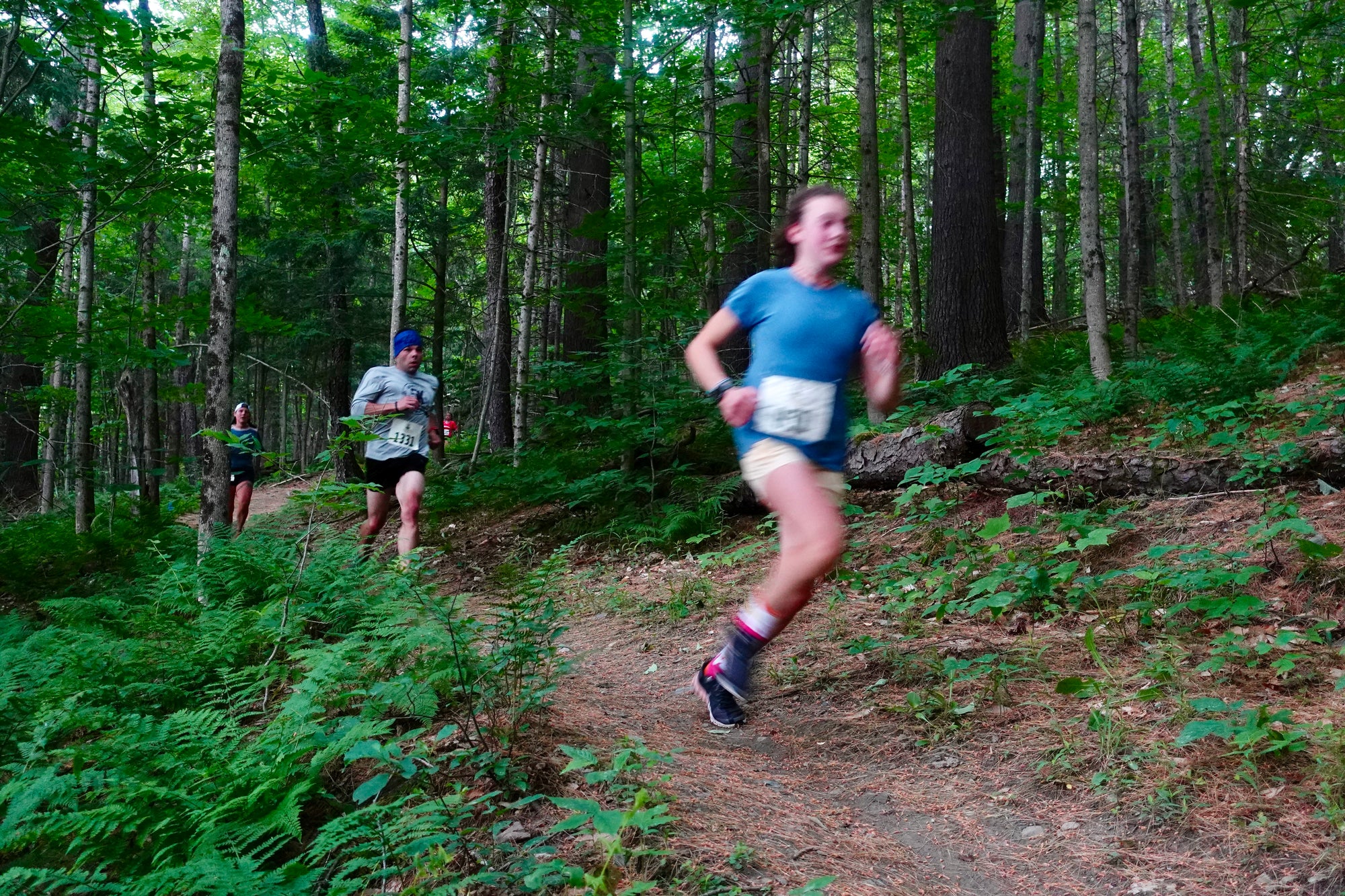 A runner in a blue shirt racing a trail race through lush green woods