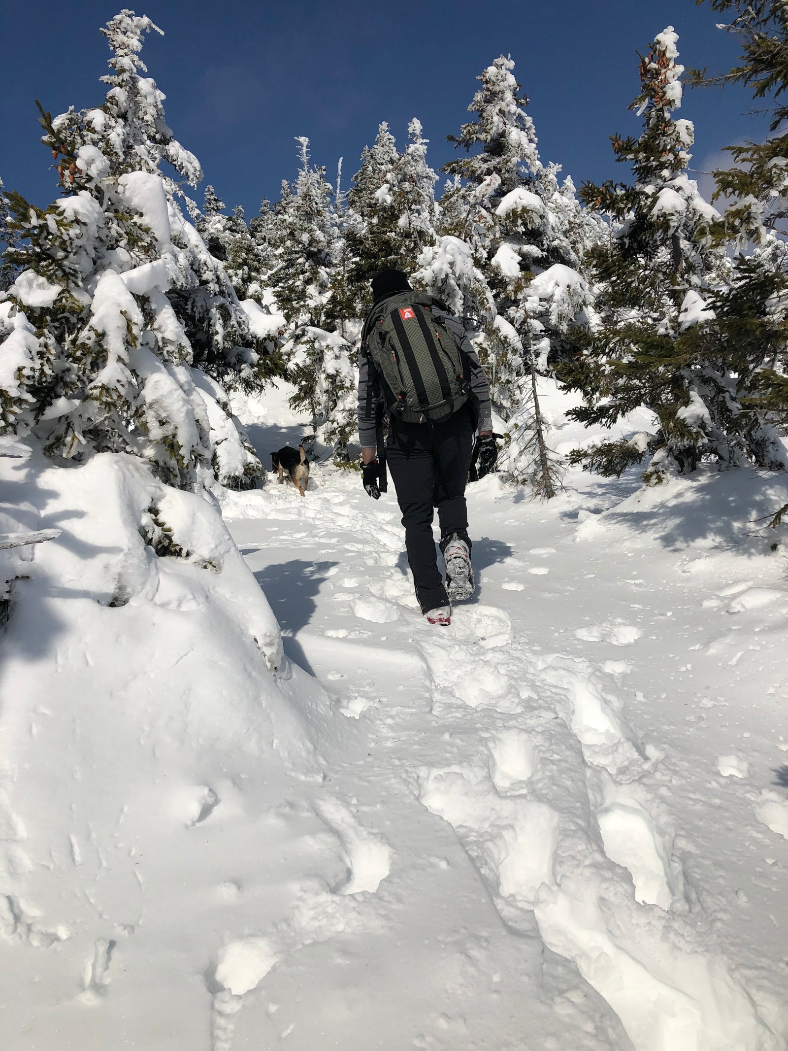 Winter Camping Isn't Easy, But It Doesn’t Have to Be So Hard