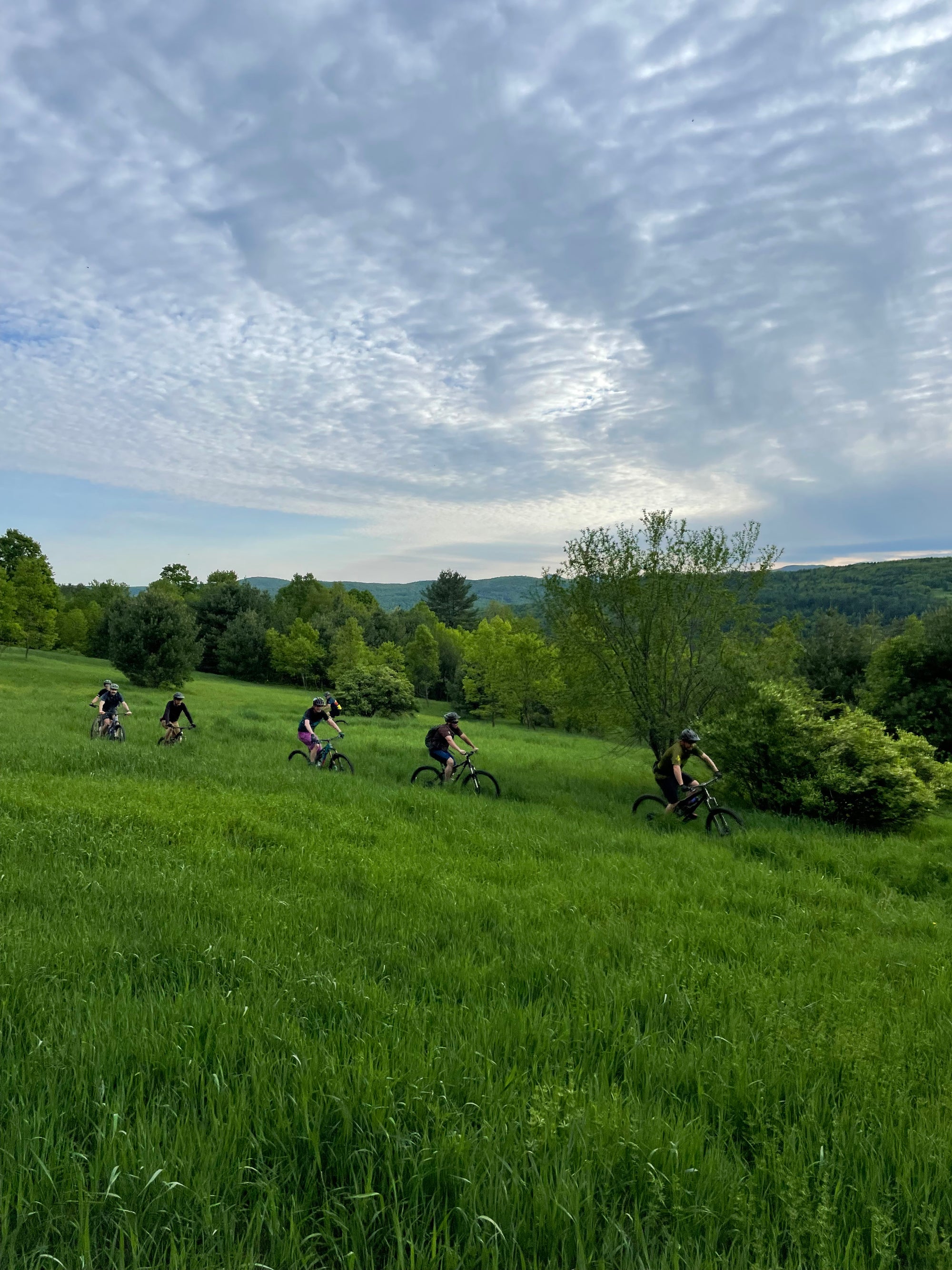 five mountain bikers in the distance, riding in a green field
