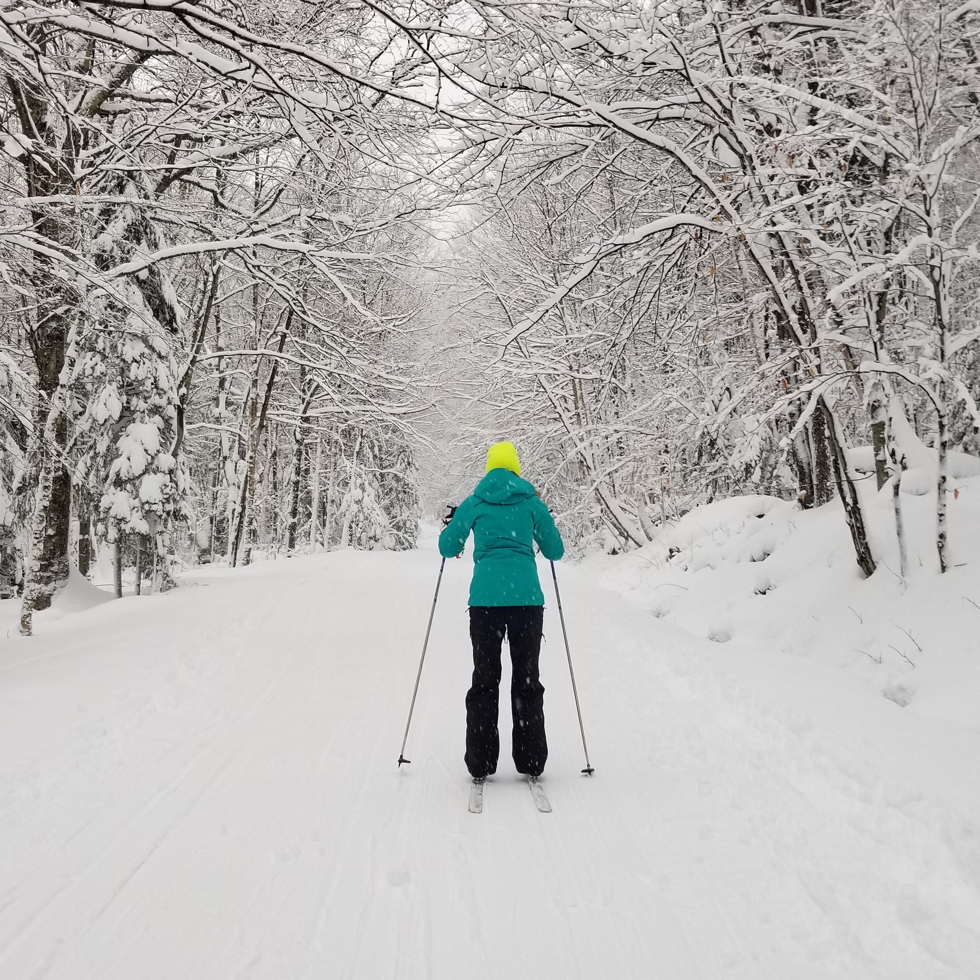 A cross country skier wearing a teal jacket and bright yellow hat, skiing on a snowy trail