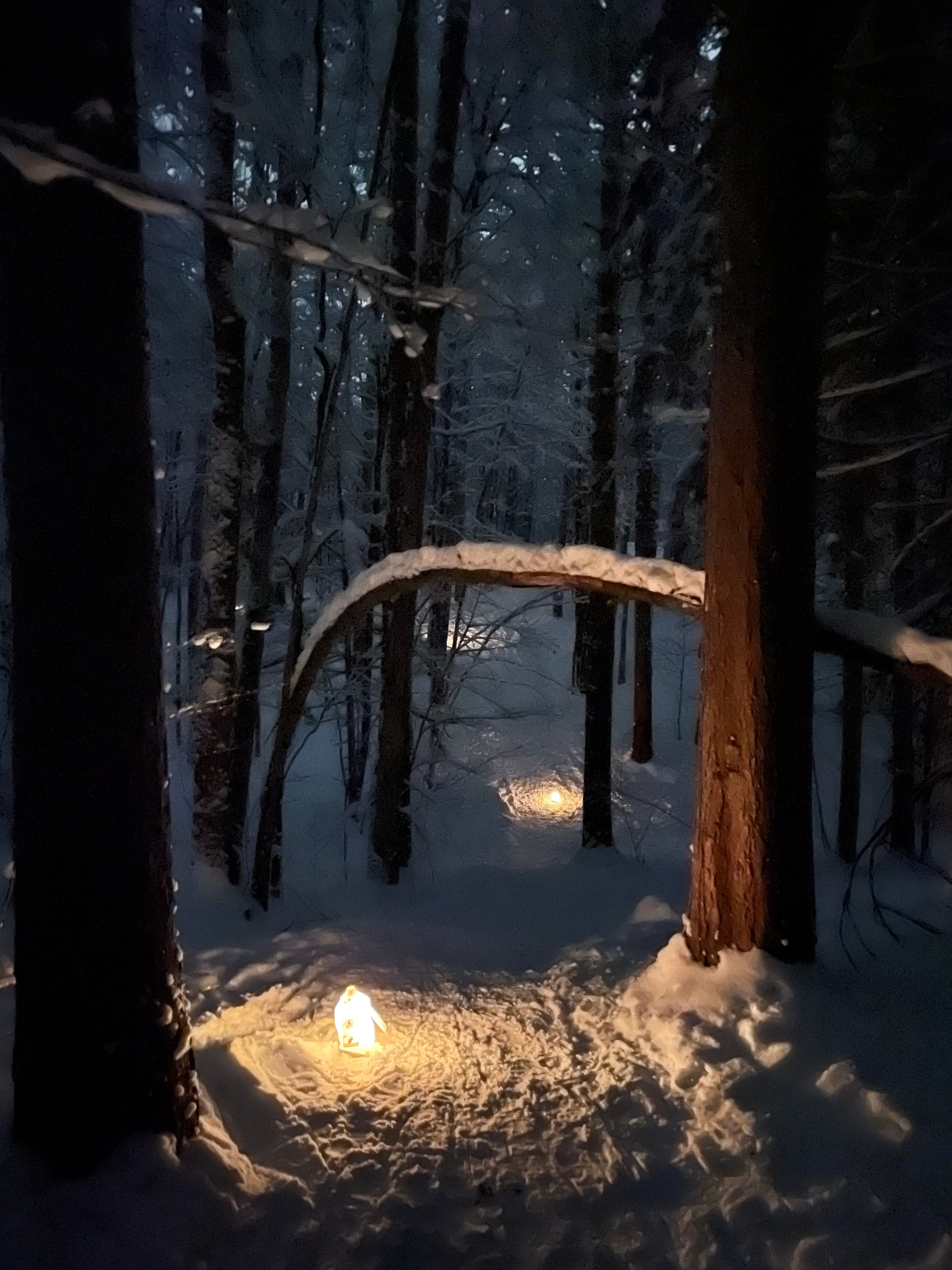 A candlelit wintery path through the woods