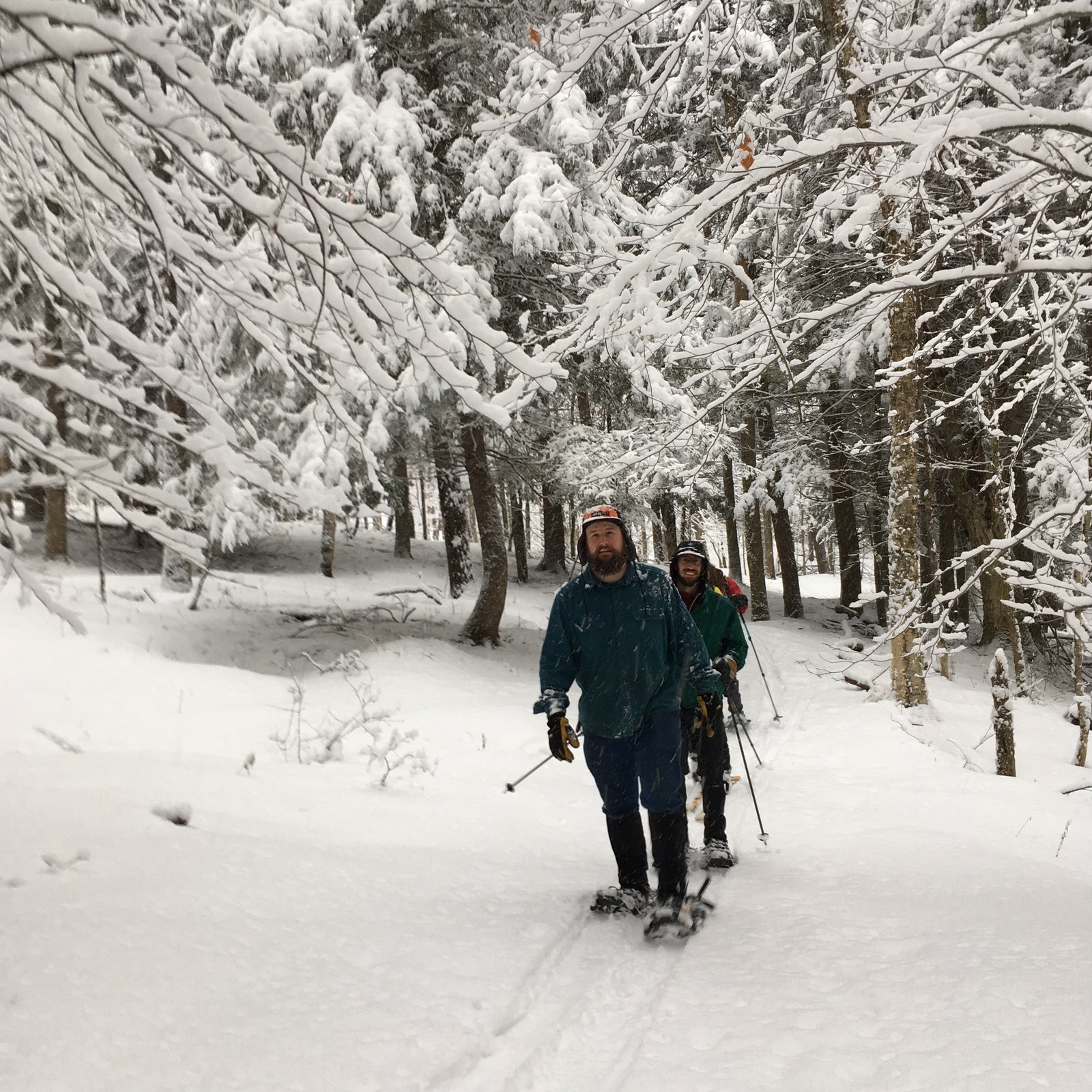 Two snowshoers on a snowy trail