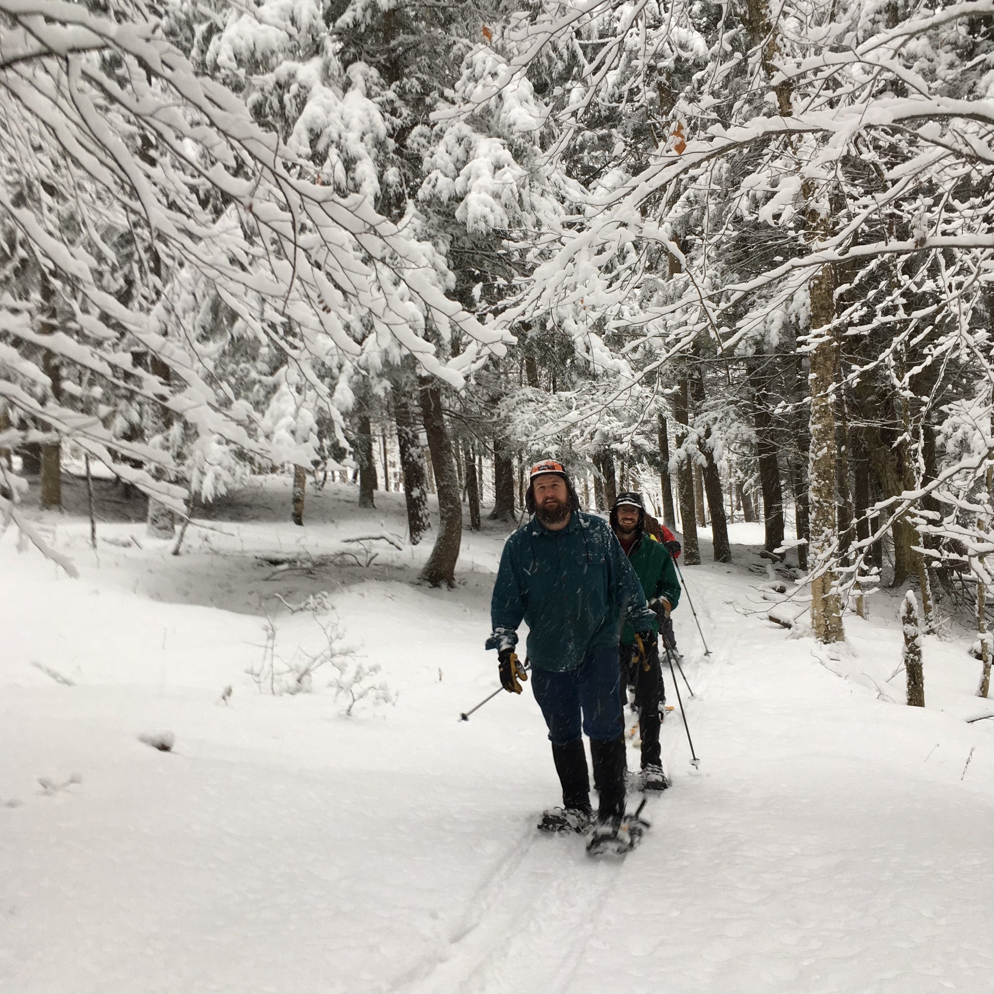 Two snowshoers on a snowy trail