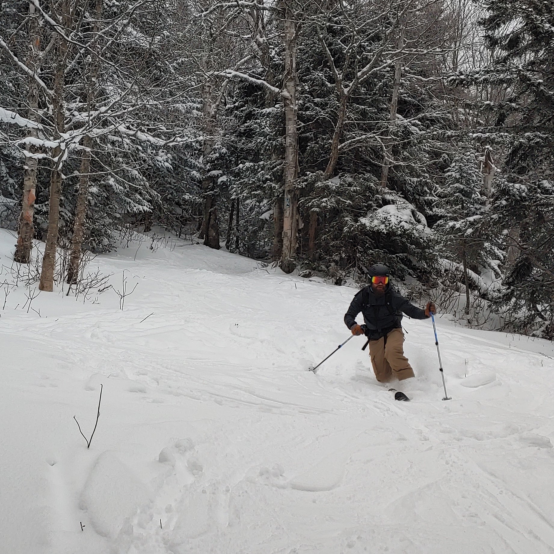 A telemark skier taking tele turns in a clearing in the woods